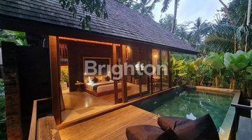 Gambar 1 VILLA RESORT WITH JUNGLE VIEW AT UBUD AREA