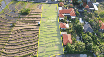 Gambar 2 Tanah Hak Milik 20 Are di Bumbak Umalas Mainroad