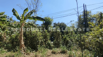 Gambar 3 Dijual Cepat Lahan 69,6 Are di Nusa Dua