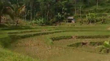 Gambar 3 Tanah 1 Ha Bagus Murah Di Bumijawa Guci Tegal Dkt Slawi Kab Brebes