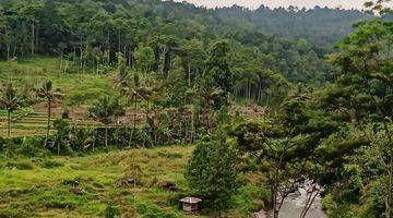 Gambar 3 Tanah Bagus Langka View Sungai Pegunungan Bumijawa Tegal Jawa Tengah
