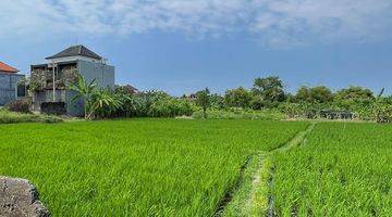 Gambar 3 Tanah bagus dekat sawah tempat sangat strategis