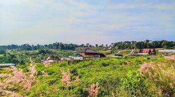 Gambar 2 Tanah Kavling Eksklusif di Kaki Gunung Lingkungan Nyaman Dan Sejuk

