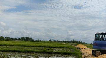 Gambar 3 Promo Tanah Kavling Murah View Sawah Kedunggu Tabanan