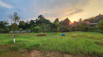 Gambar 1 Tanah Gunung Sindur Cidokom Bogor 22.692m2 SHM Ijin Industri Dan Gudang