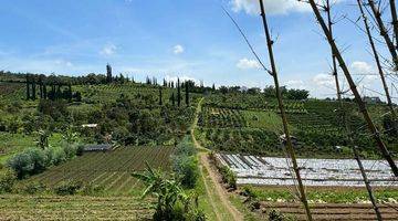 Gambar 2 Kebun Pertanian Sayur Bunga Kota Batu Lokasi Strategis