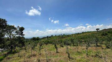 Gambar 3 Kebun Pertanian Sayur Bunga Kota Batu Lokasi Strategis