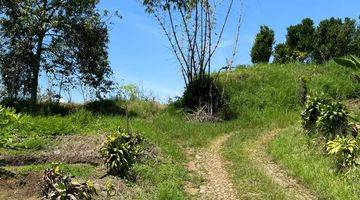 Gambar 1 Kebun Pertanian Sayur Bunga Kota Batu Lokasi Strategis