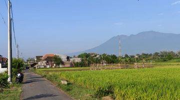 Gambar 1 Dijual Tanah Sawah Pertanian Poros Jalan di Karangploso Malang