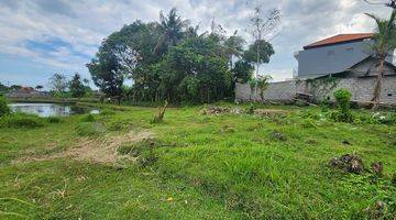 Gambar 4 Tanah Murah Dekat Pantai Nyanyi, View Sawah Dan Sungai