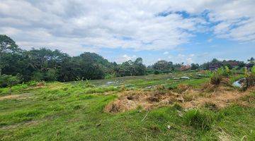 Gambar 3 Tanah Murah Dekat Pantai Nyanyi, View Sawah Dan Sungai