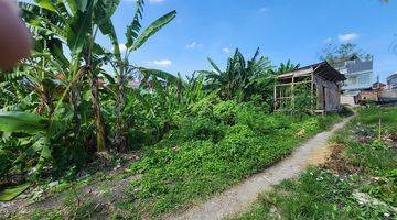 Gambar 3  Tanah Premium Dijual, View Sawah di Brawa.