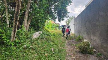 Gambar 5 Tanah Murah Dekat Pantai Nyanyi, View Sawah Dan Sungai