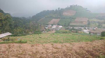 Gambar 5 Tanah Bagus Dan Subur Untuk Pertanian Tanam Sayur Di Cangar Batu