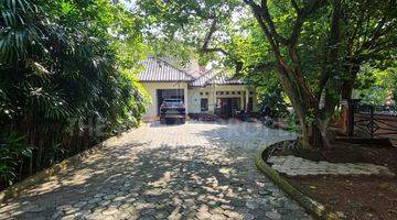 Gambar 3 Rumah Mewah Etnic Bali Dijual di Cirendeu With Big Pool And Backyard