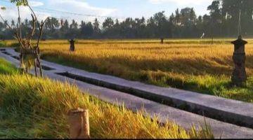 Gambar 3 For Rent Villa Rice Field View Sayan Ubud Gianyar 10 Menit Ke Central Ubud Mongkey Forest 40 Menutes Ke Canggu Bali Indonesia Strategis 3 Menit Ke Rusters Kafe Sayan Ubud Gianyar 