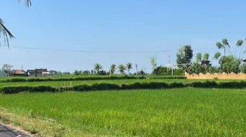 Gambar 4 FOR RENT VILLA UBUD RICE FIELD VIEW 5 MENIT FROM RUSTERS KAFE 10 MENUTES FROM CENTRAL UBUD 