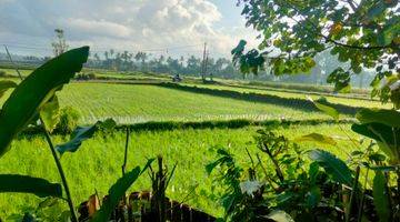 Gambar 3 For Rent Villa Rice Field View Sayan Ubud Gianyar Bali 10 Menutes From Mongkey Forest Center Ubud Gianyar Bali 5 Menutes From Ruster Kafe Good Location Strategis 40 Menutes From Canggu 