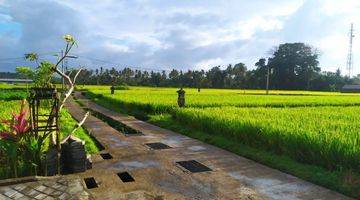 Gambar 1 For Rent Villa Ubud Rice Field View 5 Menutes From Ruster Kafe And Pepito Supermarket Sayan Ubud Sayan Singakerta Ubud Gianyar 10 Menutes From Mongkey Forest Center Ubud 40 Menutes From Canggu Nyanyi Beach Tanah Lot Tabanan Bali Indonesia  