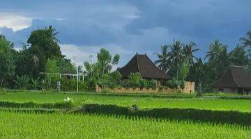 Gambar 3 For Rent Villa Ubud Rice Field View 5 Menutes From Ruster Kafe And Pepito Supermarket Sayan Ubud Sayan Singakerta Ubud Gianyar 10 Menutes From Mongkey Forest Center Ubud 40 Menutes From Canggu Nyanyi Beach Tanah Lot Tabanan Bali Indonesia  