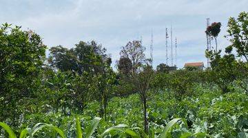 Gambar 1 Dijual Tanah Luas Lokasi Bagus di Pager Wangi Lembang Bandung