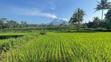 Gambar 2 DIJUAL CEPAT TANAH VIEW GUNUNG... Jl. Pakem sleman , Jogja