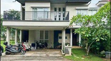 Gambar 1 Rumah Di Cajuputi De Park Bsd 2 Lantai Shm Bagus Utara