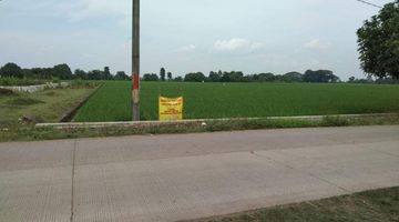 Gambar 1 Dijual Tanah Sawah Jatireja Subang Jawa Barat