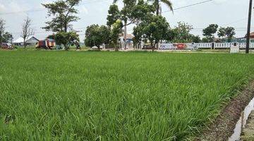 Gambar 3 Dijual Tanah Sawah Jatireja Subang Jawa Barat