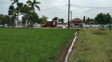 Gambar 5 Dijual Tanah Sawah Jatireja Subang Jawa Barat