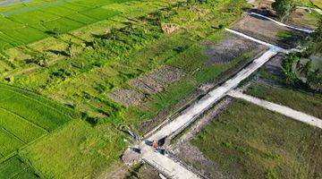 Gambar 5 Tanah Kedungu Beraban Full View Sawah Termurah