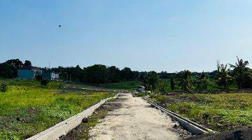 Gambar 5 Land For Sale Kedungu Freehold