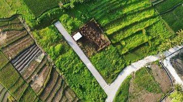 Gambar 3 Tanah Canggu Pererenan 640m2 Kedungu Beraban