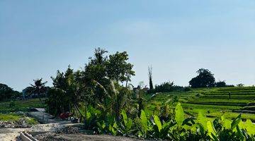 Gambar 2  Tanah Beraban Kedungu Lingkungan Mewah View Sawah Paling Murah