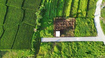 Gambar 1 Tanah Canggu Pererenan 640m2 Kedungu Beraban