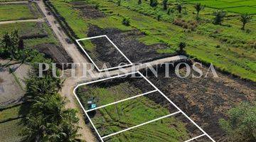 Gambar 3 TANAH PANTAI KEDUNGU DEKAT NYANYI