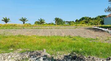 Gambar 1 Land For Sale Nyanyi Kedungu Ricefield View