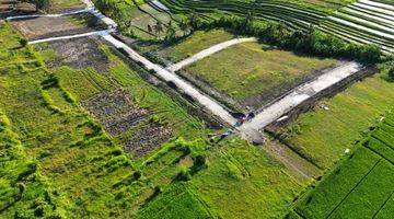 Gambar 3 Tanah Kedungu Beraban Full View Sawah Termurah