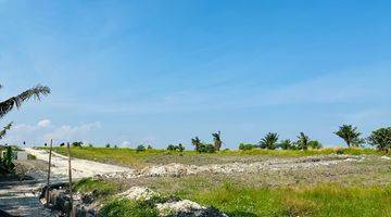 Gambar 3 Land For Sale Nyanyi Kedungu Ricefield View