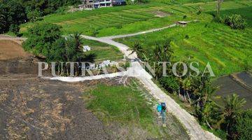 Gambar 5 TANAH PANTAI KEDUNGU DEKAT NYANYI