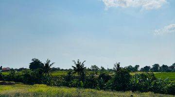 Gambar 1 Land For Sale Near Pererenan Canggu