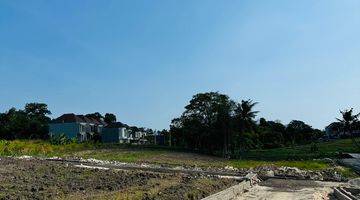 Gambar 4 Land For Sale Nyanyi Kedungu Ricefield View