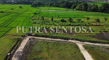 Gambar 3 TANAH PANTAI KEDUNGU DEKAT PERERENAN