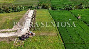 Gambar 4 TANAH PANTAI KEDUNGU DEKAT CANGGU