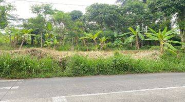 Gambar 2 Dijual Tanah Murah Di Cigombong Pinggir Jalan Utama Best View