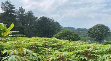 Gambar 3 Dijual Tanah Gunung Geulis Murah Dekat Jalan Utama Best View