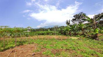 Gambar 3 dijual tanah cijeruk view gunung salak dan bogor kota