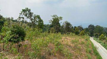 Gambar 5 Tanah Cijeruk Murah Bawah Kaki Gunung Salak Best View Kota 