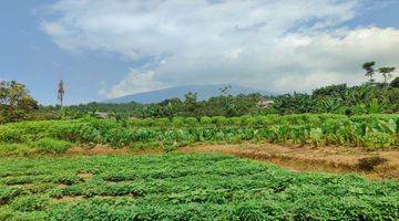 Gambar 4 dijual tanah cijeruk view gunung salak dan bogor kota