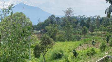 Gambar 2 Tanah Cijeruk Shm Murah View Bogor Kota Dan Pegunungan Cocok Cafe